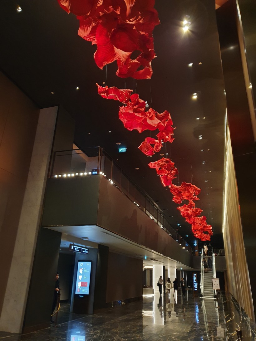 20191108_214643_resized