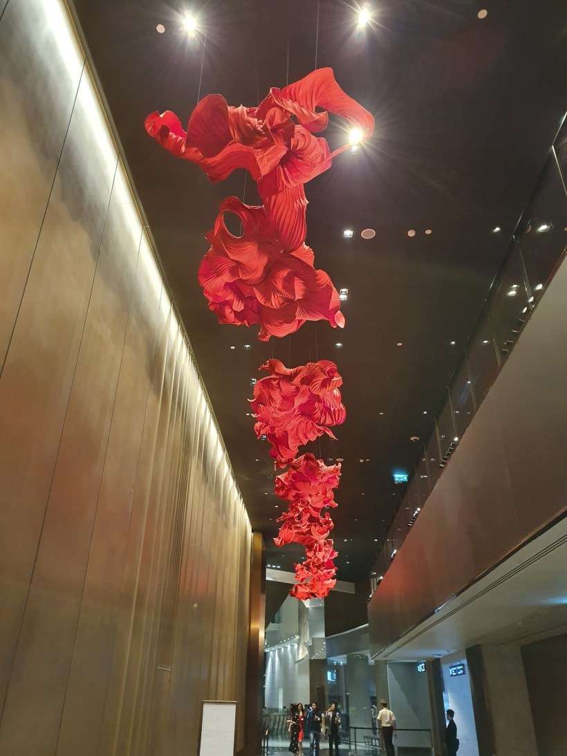 20191108_215243_resized